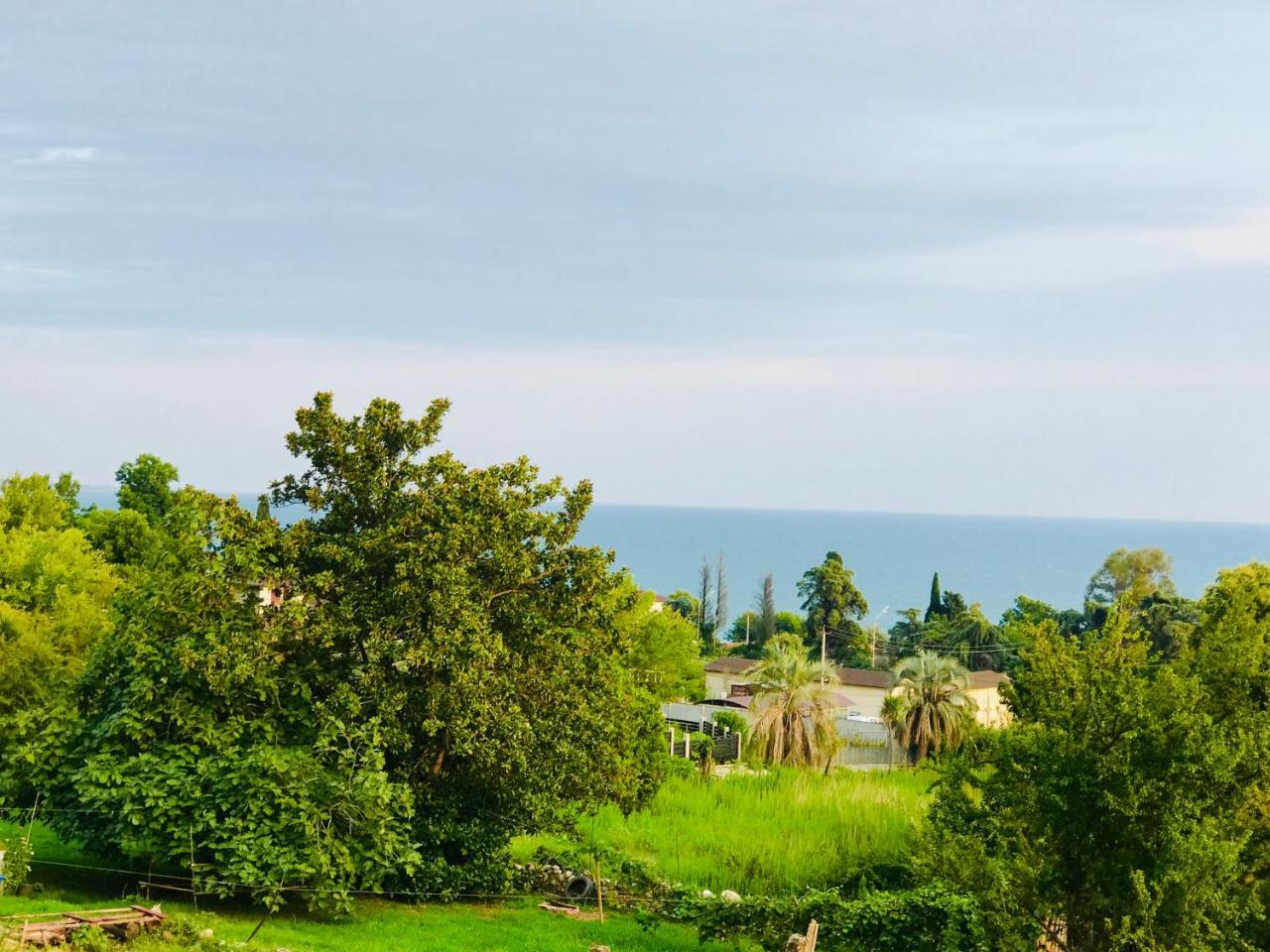 Palm Hotel New Athos Dış mekan fotoğraf
