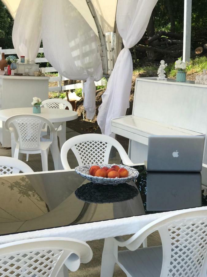 Palm Hotel New Athos Dış mekan fotoğraf
